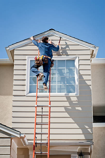 Best Siding Painting and Refinishing  in Fort Belvoir, VA